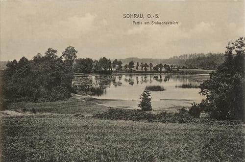 nowe-26379.jpg