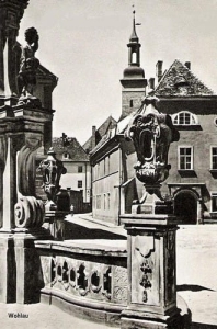Wołów - Reprodukcja 26388