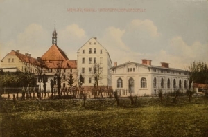Wołów - Reprodukcja 26397