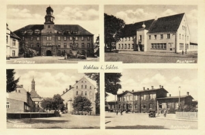 Wołów widokowa - Reprodukcja 26398