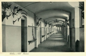 Wołów Koszary - Reprodukcja 26402