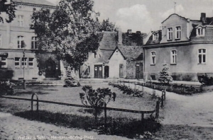 Wołów Goring platz - Reprodukcja 26410