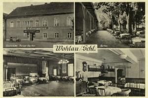 Wołów widokowa - Reprodukcja 26413