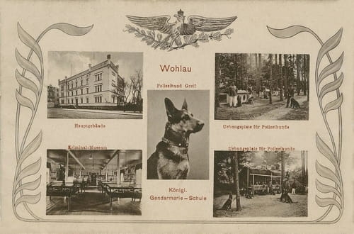 nowe-26416.jpg