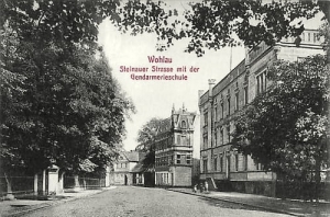 Wołów szkoła - Reprodukcja 26419