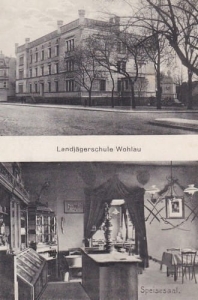 Wołów widokowa - Reprodukcja 26420
