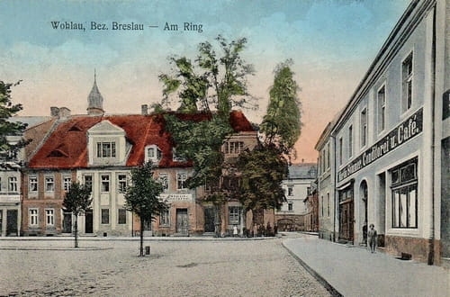 nowe-26421.jpg
