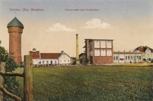 Wołów Rzeźnia - Reprodukcja 26424