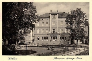 Wołów Goring platz - Reprodukcja 26425