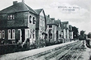 Wołów Bismarckstr. - Reprodukcja 26432