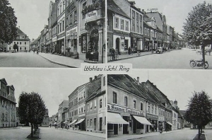 Wołów widokowa - Reprodukcja 26438