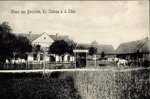 Boraszyn - Reprodukcja 26443