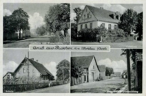 nowe-26444.jpg
