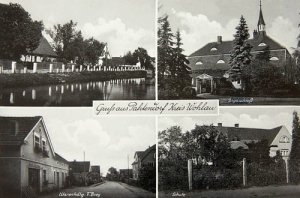 Bukowice widokowa - Reprodukcja 26450