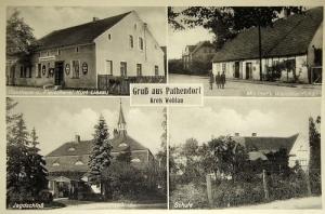 Bukowice widokowa - Reprodukcja 26451