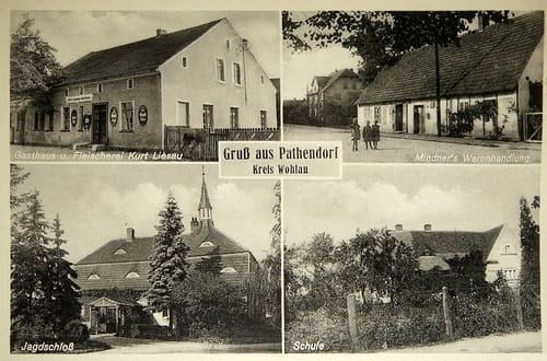 nowe-26451.jpg