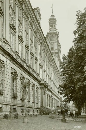 nowe-26490.jpg