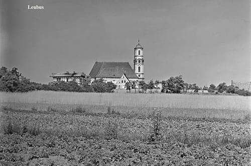 nowe-26494.jpg