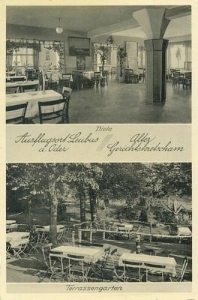 Lubiąż widokowa - Reprodukcja 26496