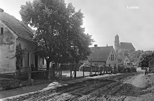nowe-26497.jpg