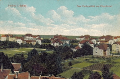 nowe-26499.jpg