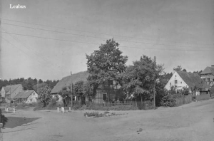 Lubiąż panorama - Reprodukcja 26508