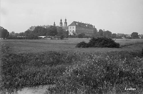 nowe-26511.jpg