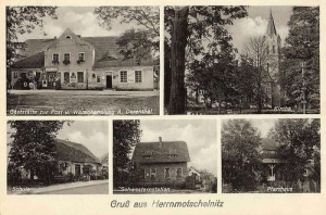 Moczydlnica Dworska - Reprodukcja 26529