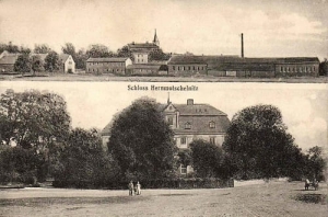 Moczydlnica Dworska - Reprodukcja 26530