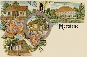Morzyna widokowa - Reprodukcja 26545