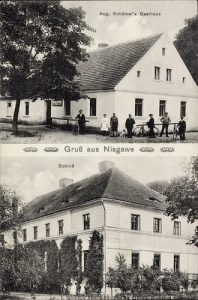 Nieszkowice widokowa - Reprodukcja 26546