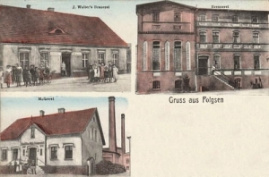 Pełczyn widokowa - Reprodukcja 26550
