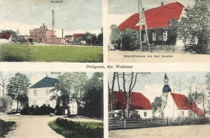 Pełczyn widokowa - Reprodukcja 26552