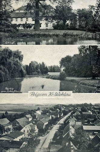 nowe-26554.jpg