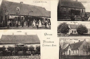 Prawików widokowa - Reprodukcja 26556