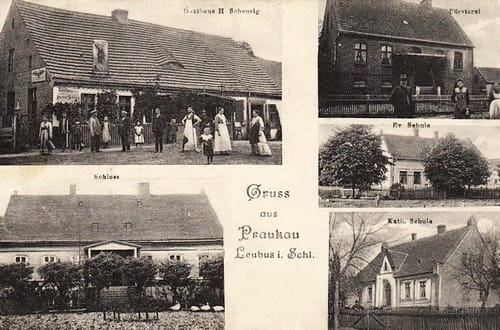 nowe-26556.jpg