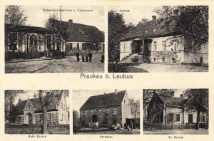 Prawików widokowa - Reprodukcja 26557