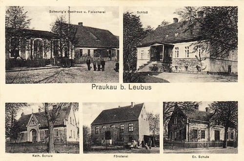 nowe-26557.jpg