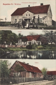 Rajczyn widokowa - Reprodukcja 26561