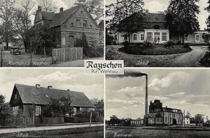 Rajczyn widokowa - Reprodukcja 26562