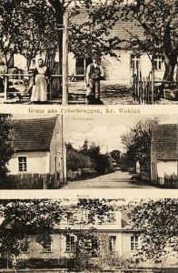 Rogów Wołowski - Reprodukcja 26564