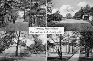 Tarchalice widokowa - Reprodukcja 26578