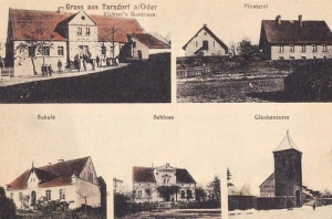 Tarchalice widokowa - Reprodukcja 26581