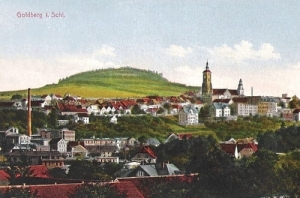 Złotoryja panorama - Reprodukcja 26649