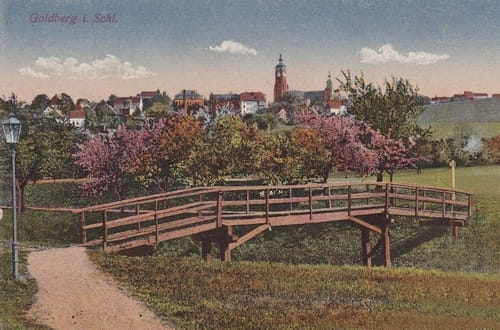 nowe-26652.jpg