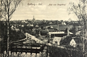 Złotoryja panorama - Reprodukcja 26657