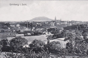 Złotoryja panorama - Reprodukcja 26658