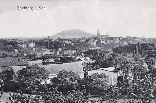 nowe-26658.jpg