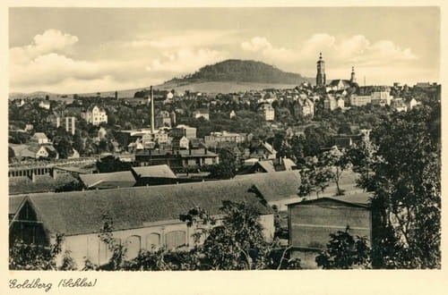 nowe-26661.jpg