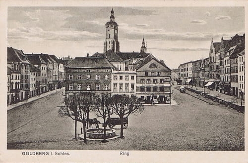nowe-26682.jpg